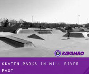 Skaten Parks in Mill River East
