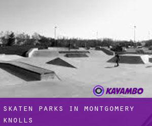 Skaten Parks in Montgomery Knolls