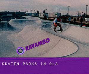 Skaten Parks in Ola