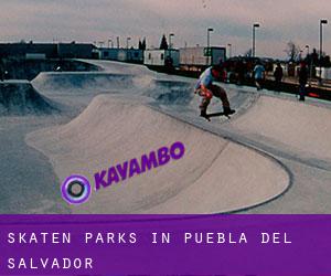 Skaten Parks in Puebla del Salvador