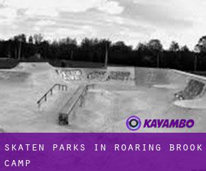 Skaten Parks in Roaring Brook Camp