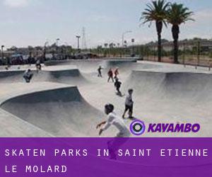 Skaten Parks in Saint-Étienne-le-Molard