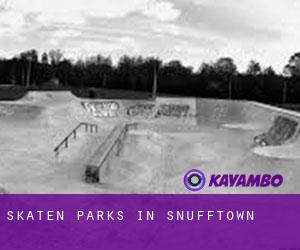 Skaten Parks in Snufftown