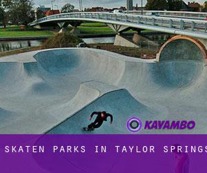 Skaten Parks in Taylor Springs