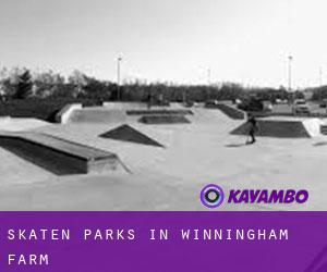Skaten Parks in Winningham Farm