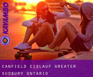 Canfield eislauf (Greater Sudbury, Ontario)