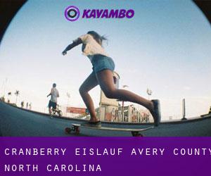 Cranberry eislauf (Avery County, North Carolina)