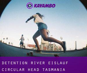 Detention River eislauf (Circular Head, Tasmania)