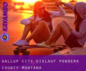 Gallup City eislauf (Pondera County, Montana)