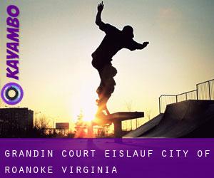 Grandin Court eislauf (City of Roanoke, Virginia)
