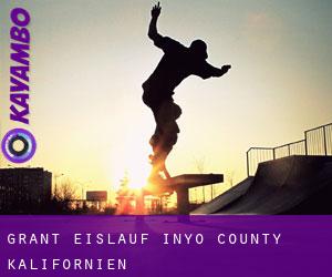 Grant eislauf (Inyo County, Kalifornien)