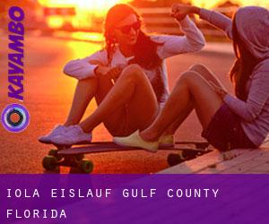 Iola eislauf (Gulf County, Florida)