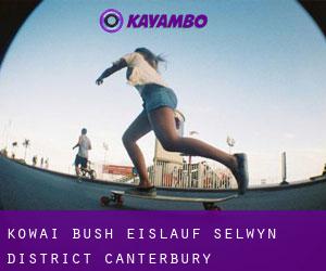 Kowai Bush eislauf (Selwyn District, Canterbury)