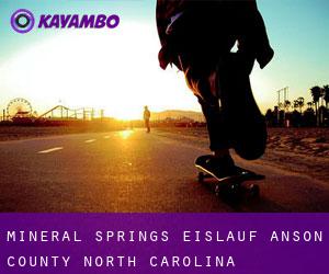 Mineral Springs eislauf (Anson County, North Carolina)