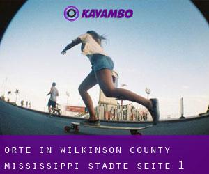 orte in Wilkinson County Mississippi (Städte) - Seite 1