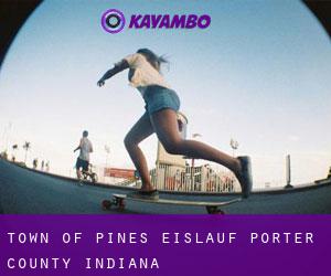 Town of Pines eislauf (Porter County, Indiana)