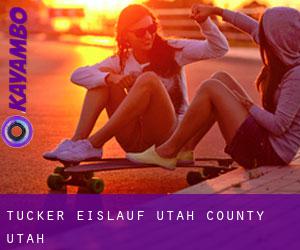 Tucker eislauf (Utah County, Utah)