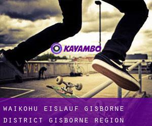 Waikohu eislauf (Gisborne District, Gisborne Region)