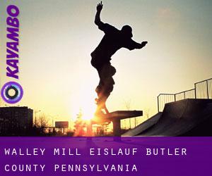 Walley Mill eislauf (Butler County, Pennsylvania)